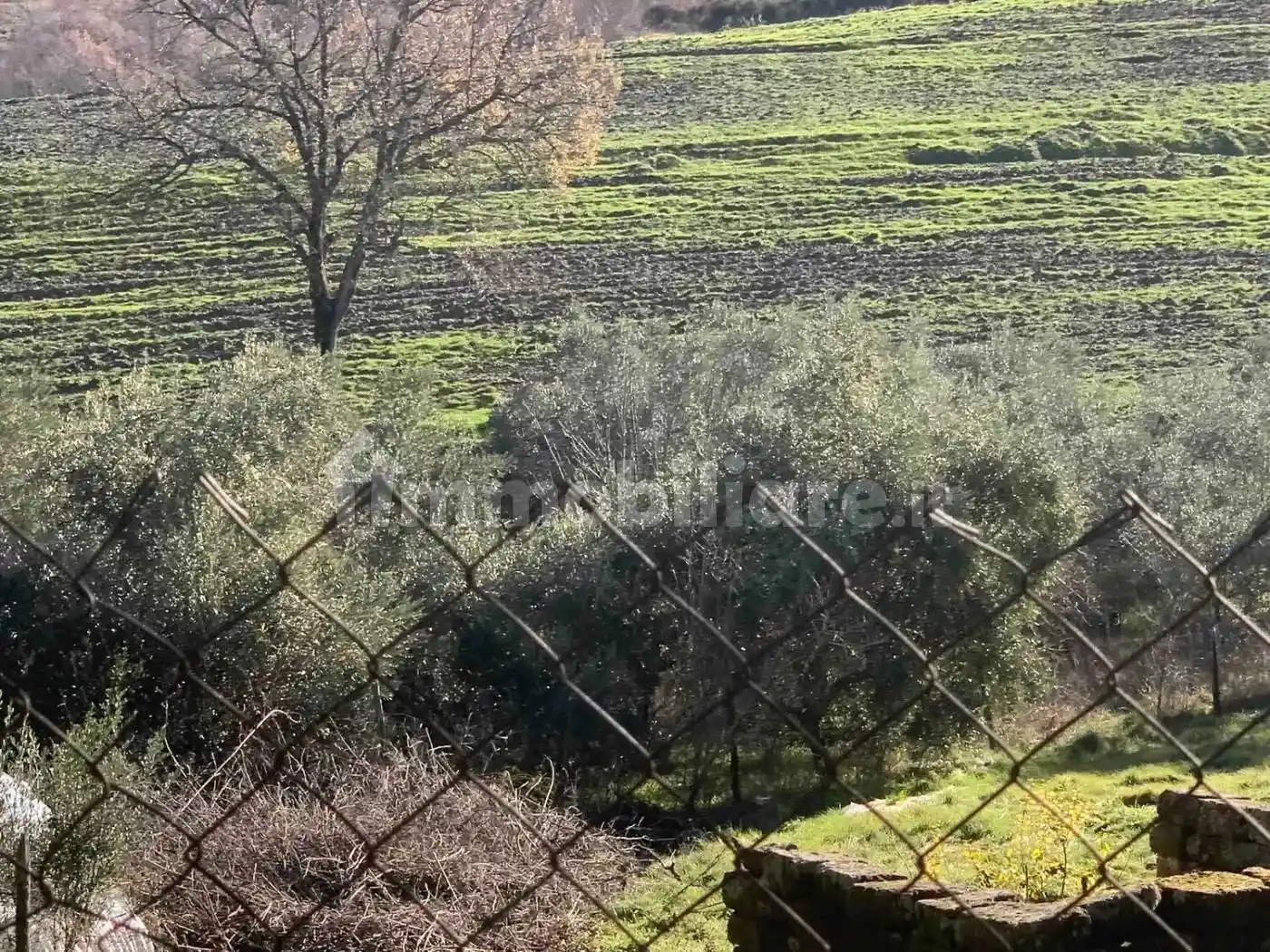 Cascina Località Porziano No Number, Porziano, Pian della Pieve, San Presto, Assisi - foto 3