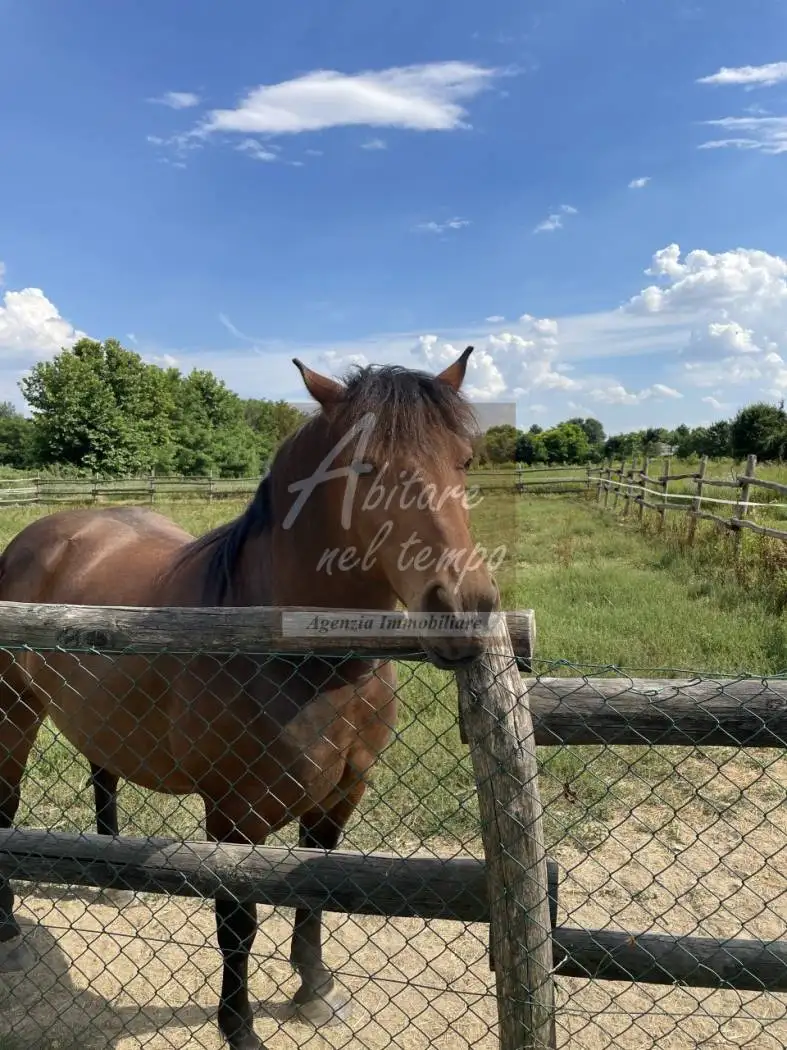 Villa unifamiliare Campo San Martino, Centro, Campo San Martino - foto 3