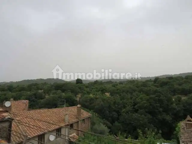 Appartamento 105 m², Centro, Barbarano Romano - foto 3