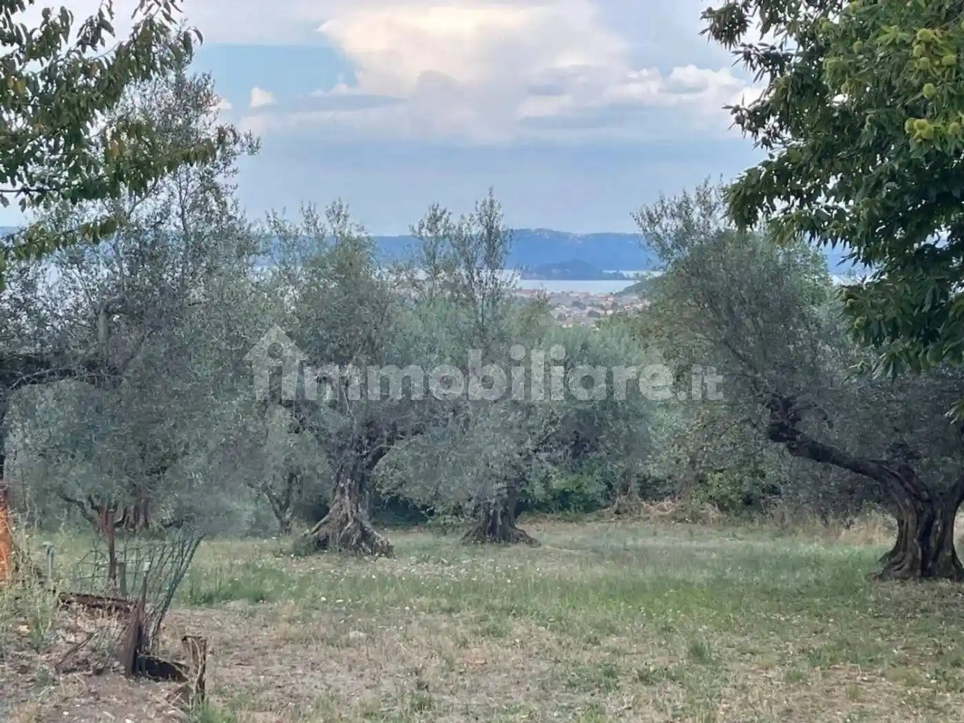 Rustico - Casale in vendita a Capodimonte