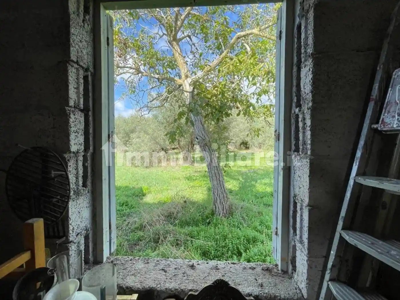 Rustico - Casale in vendita a Tuscania