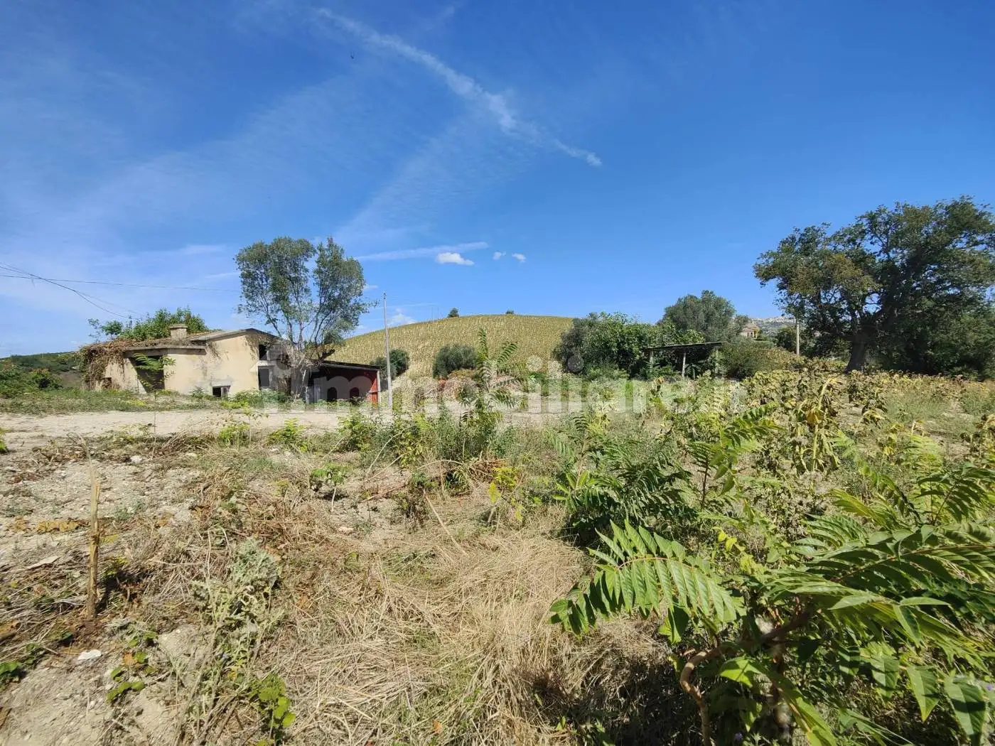 Casa colonica Contrada Forola, Acquaviva Picena - foto 5