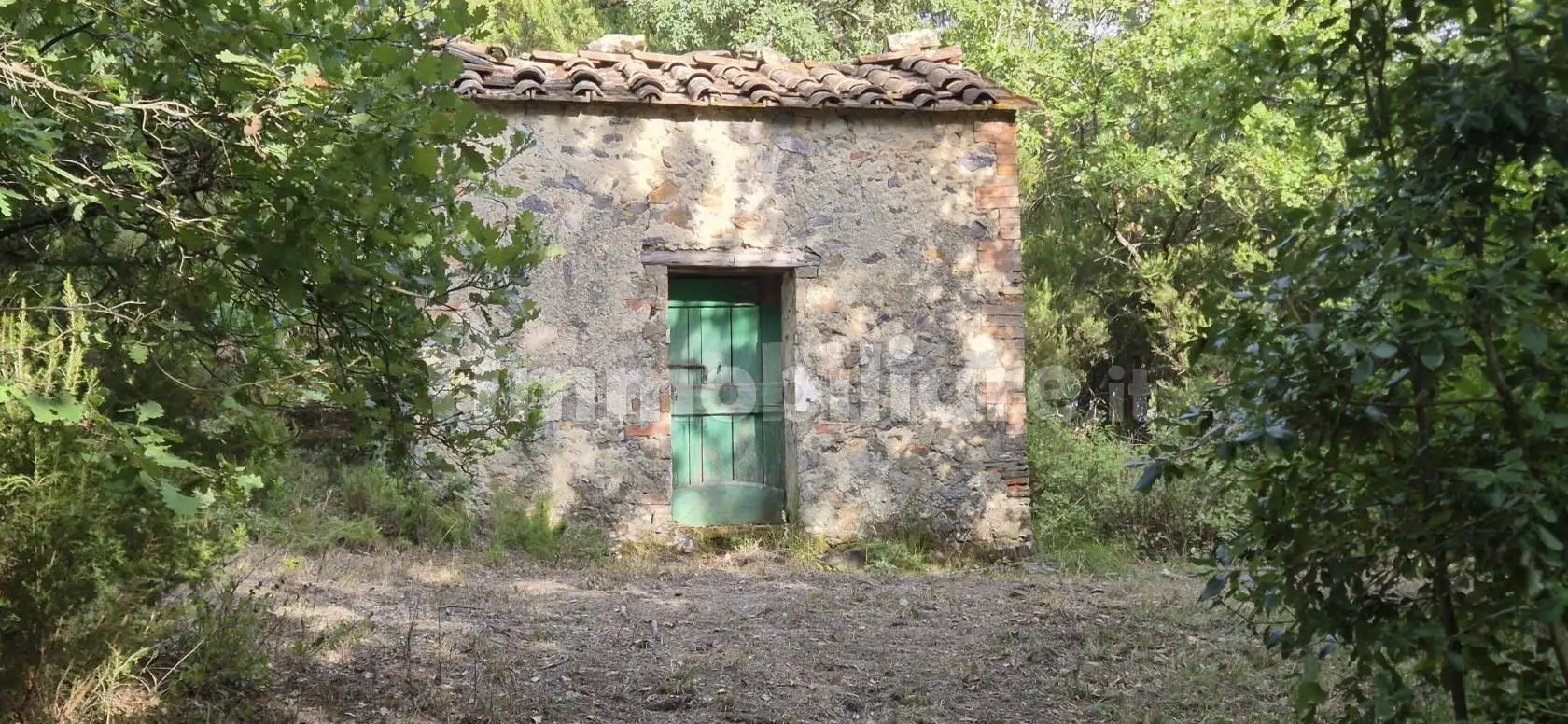 Rustico - Casale in vendita a Civitella Paganico
