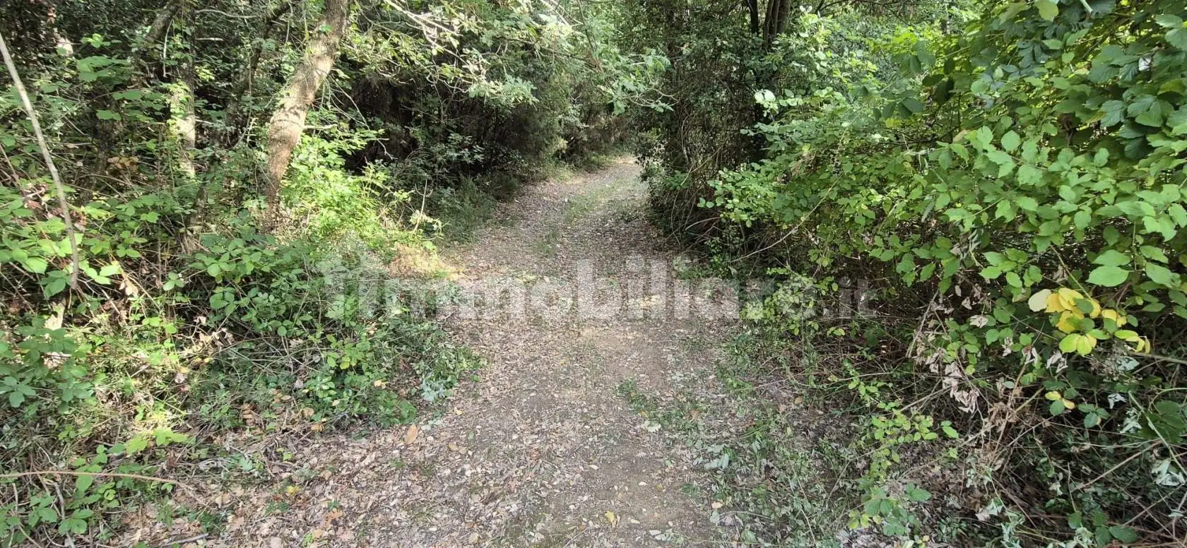 Rustico Strada Provinciale di Petriolo, Civitella Paganico - foto 3