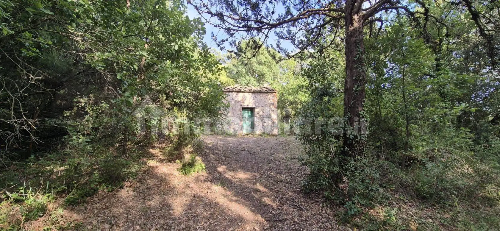Rustico Strada Provinciale di Petriolo, Civitella Paganico - foto 4