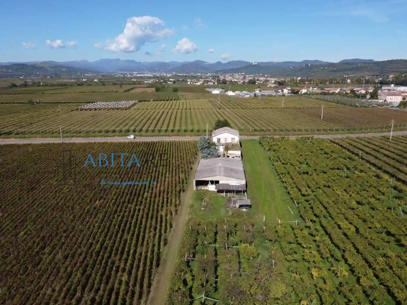 Palazzo - Edificio - foto 4