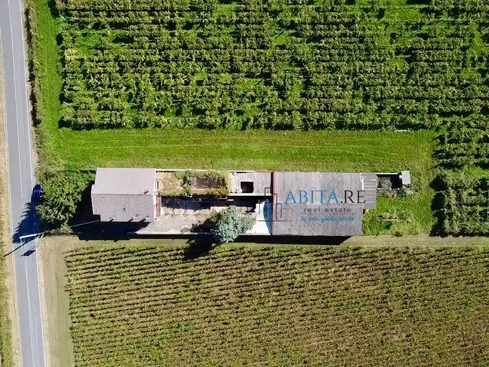 Palazzo - Edificio - foto 5