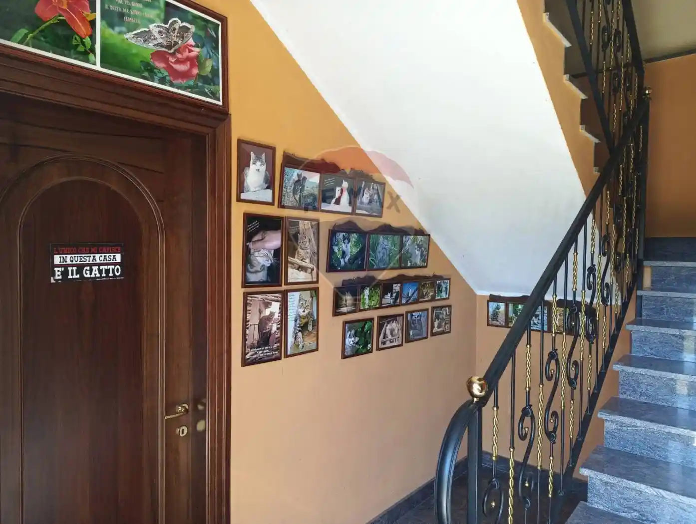 Terratetto plurifamiliare via V. Veneto 36/a, Contrada, Camerana - foto 4