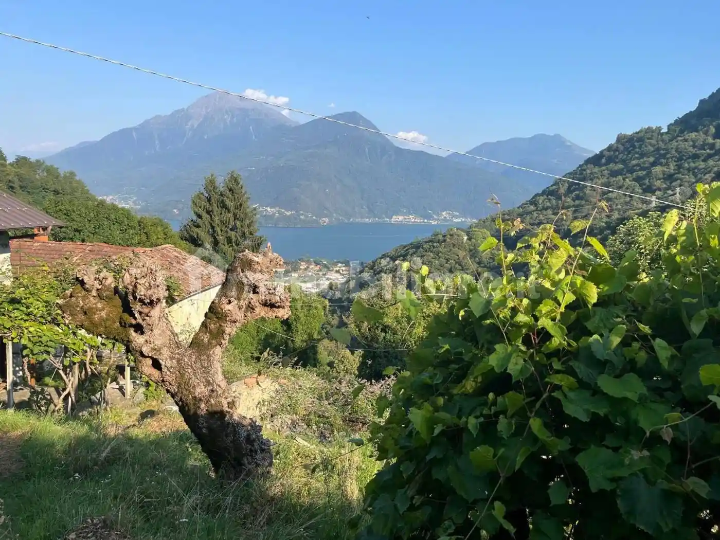 Rustico - Casale in vendita a Gravedona ed Uniti