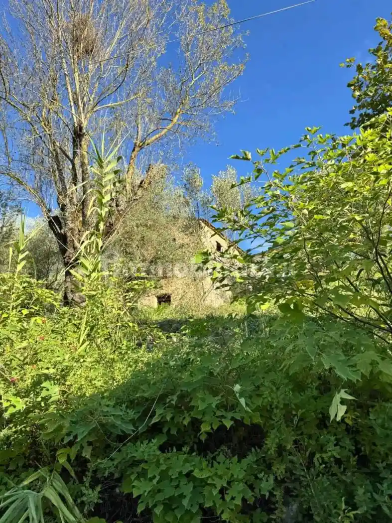 Rustico via Colle D'Agnese, Vicalvi - foto 2