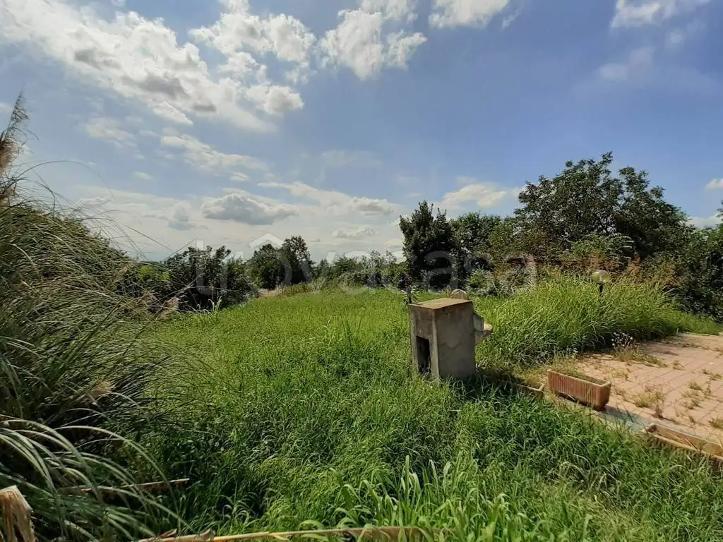 Casa colonica 469 m², Cortazzone - foto 4