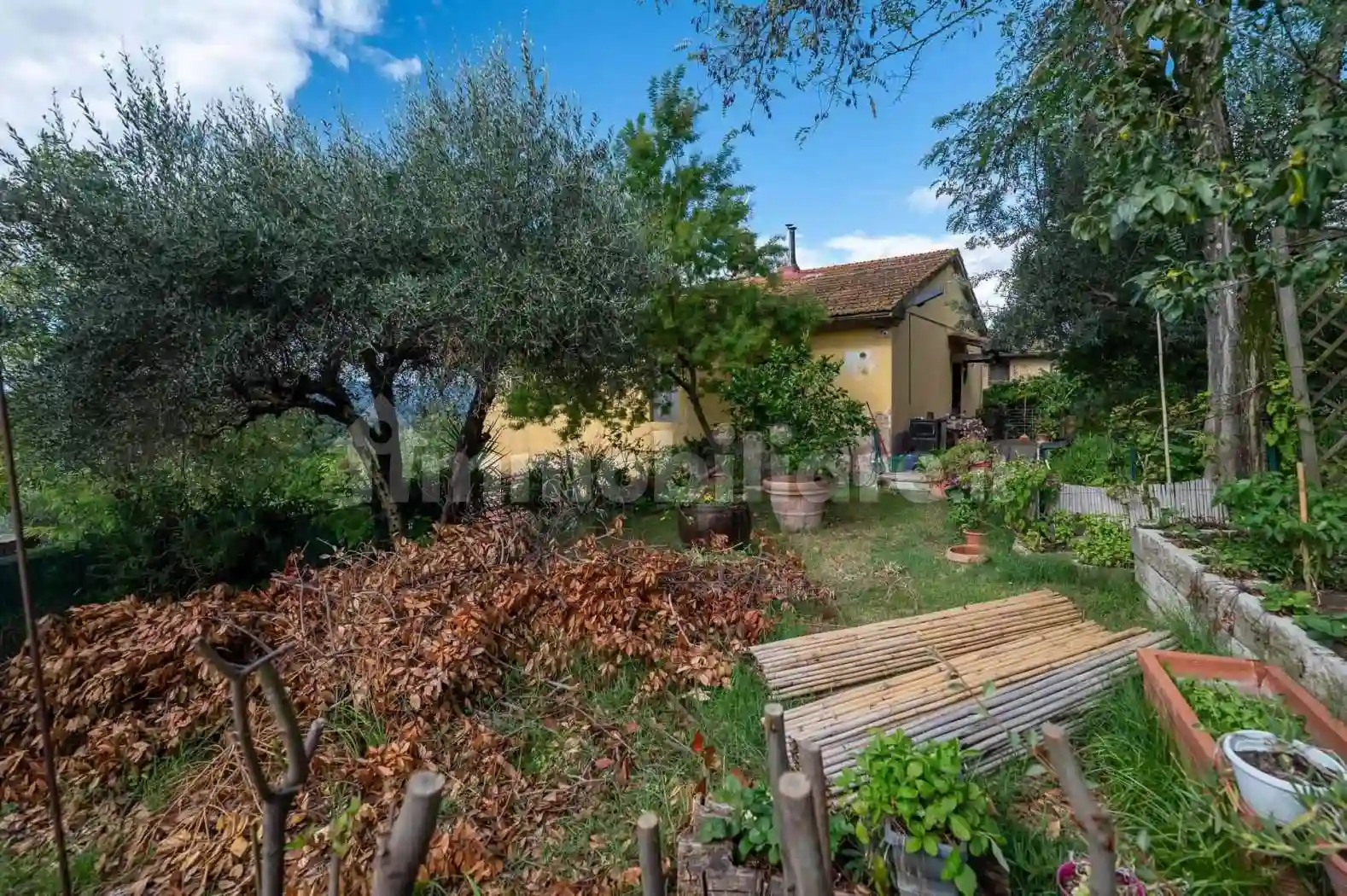 Rustico - Casale - foto 3