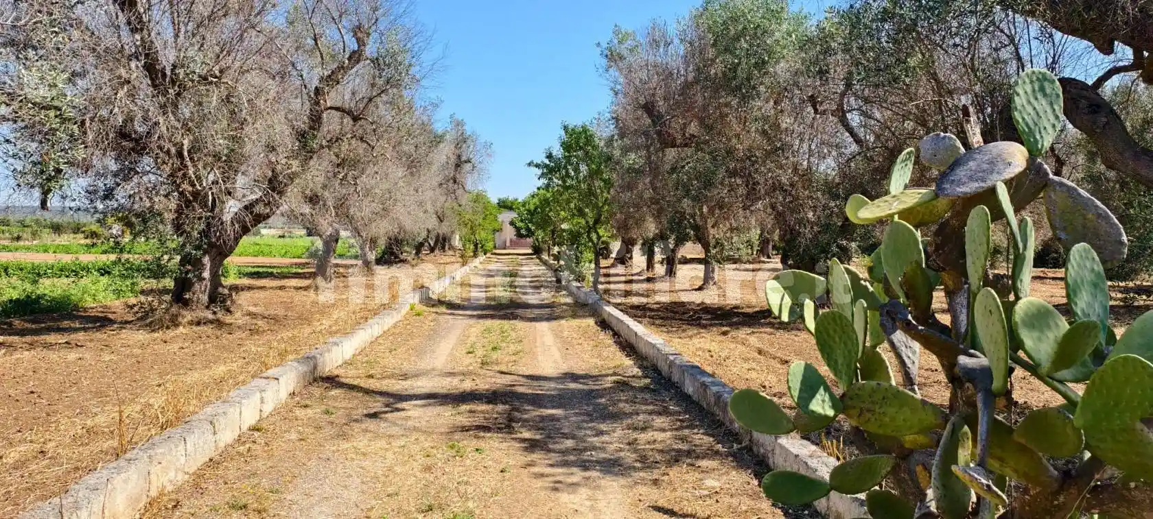 Rustico - Casale in vendita a Francavilla Fontana