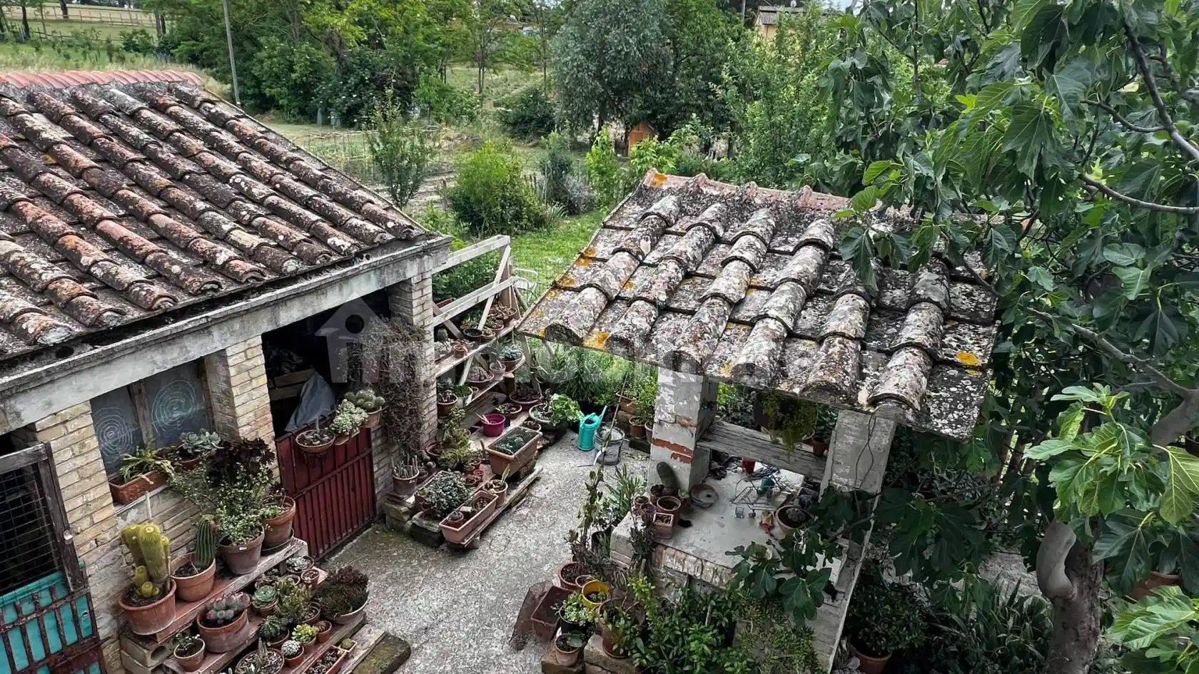 Rustico - Casale - foto 5