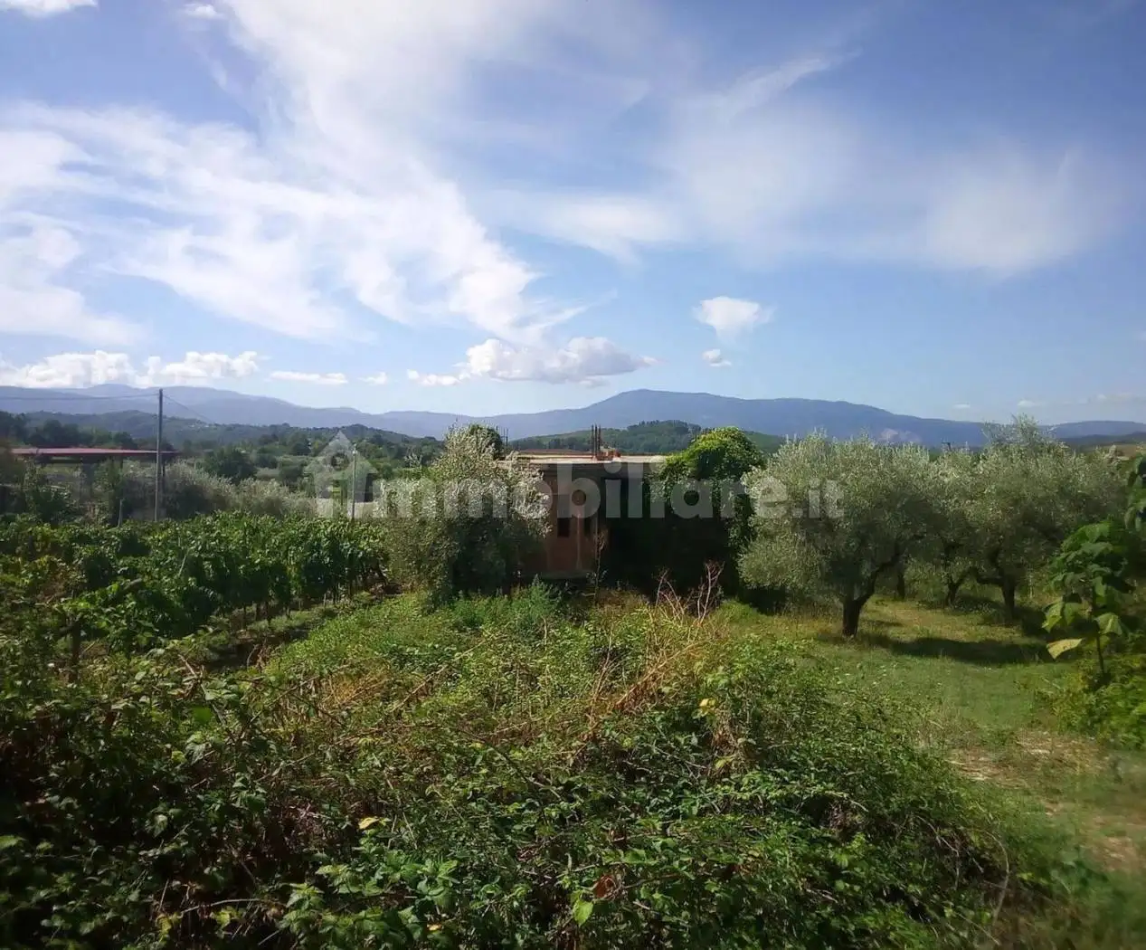 Rustico - Casale in vendita a Acuto