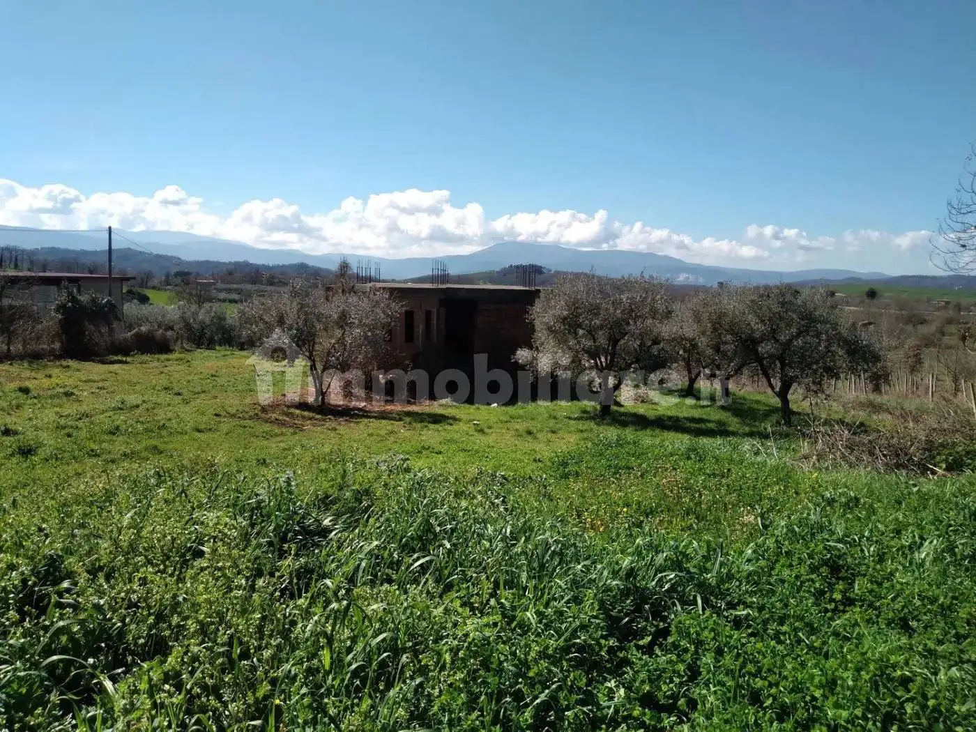 Cascina via Colli Orsoni No Number, Acuto - foto 2