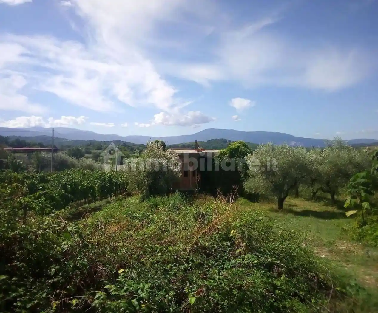 Rustico - Casale in vendita a Acuto