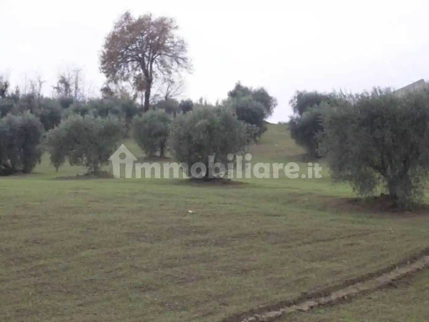 Rustico via Case Sparse Campiglio, Campli - foto 3