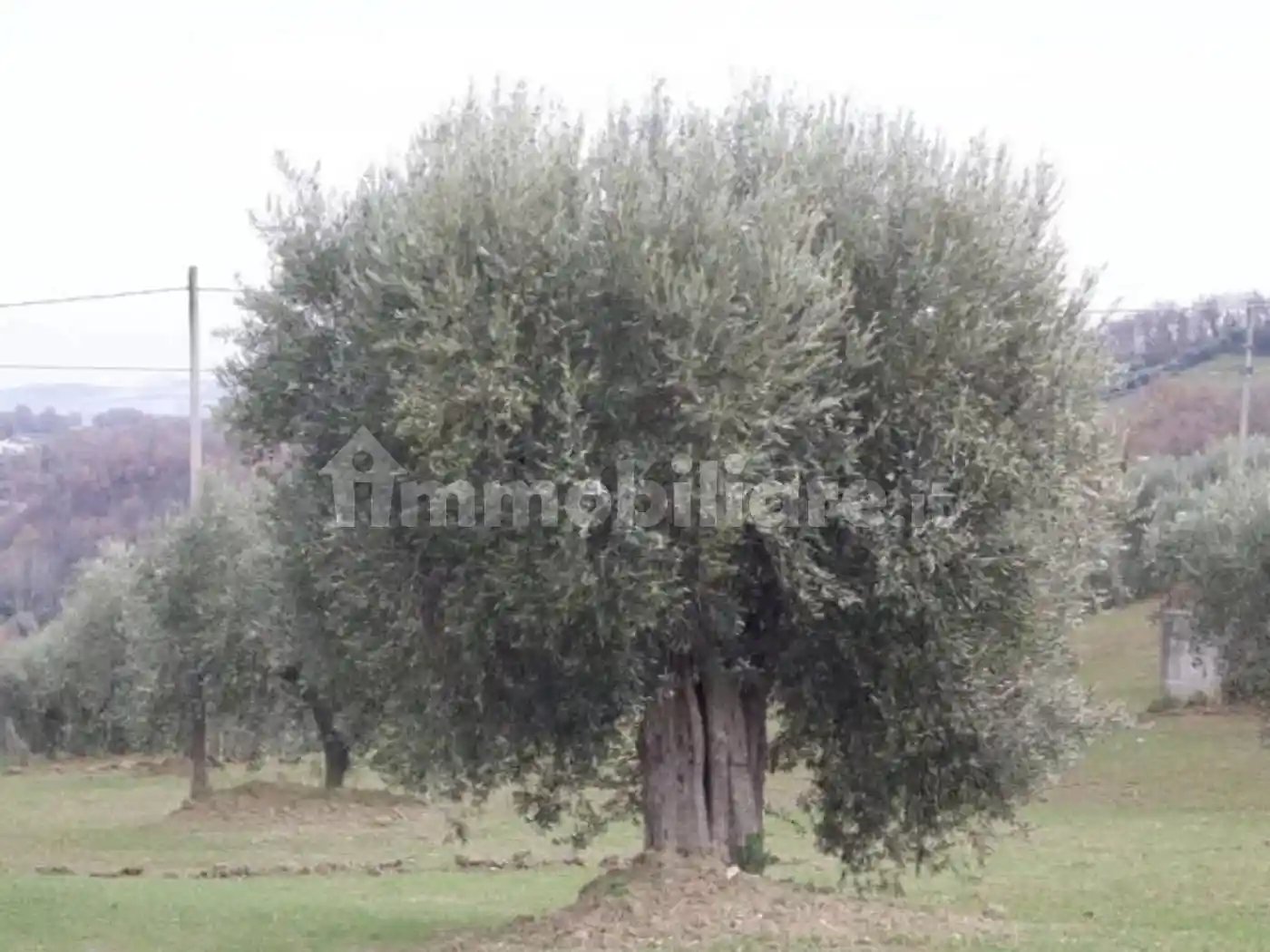 Rustico via Case Sparse Campiglio, Campli - foto 4