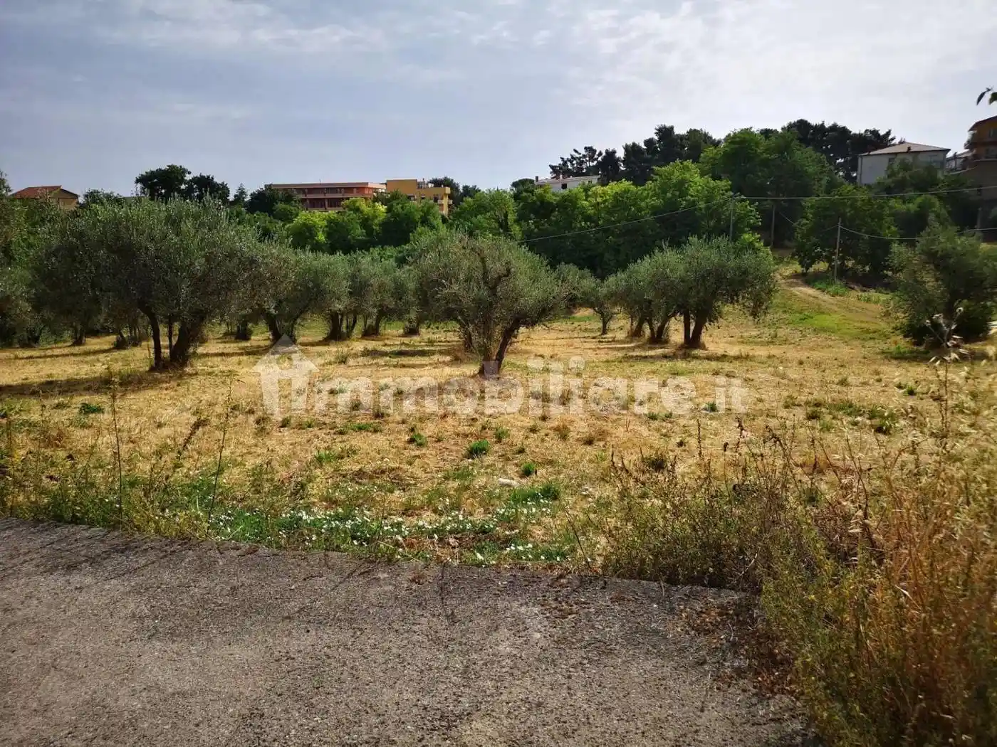 Cascina Contrada Marcianese, 221, Centro, Lanciano - foto 3