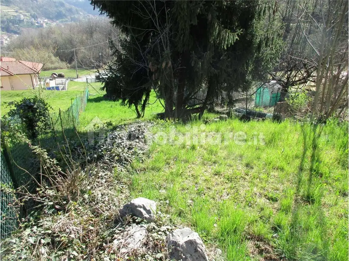 Terratetto unifamiliare via Fenile, Bedulita - foto 5