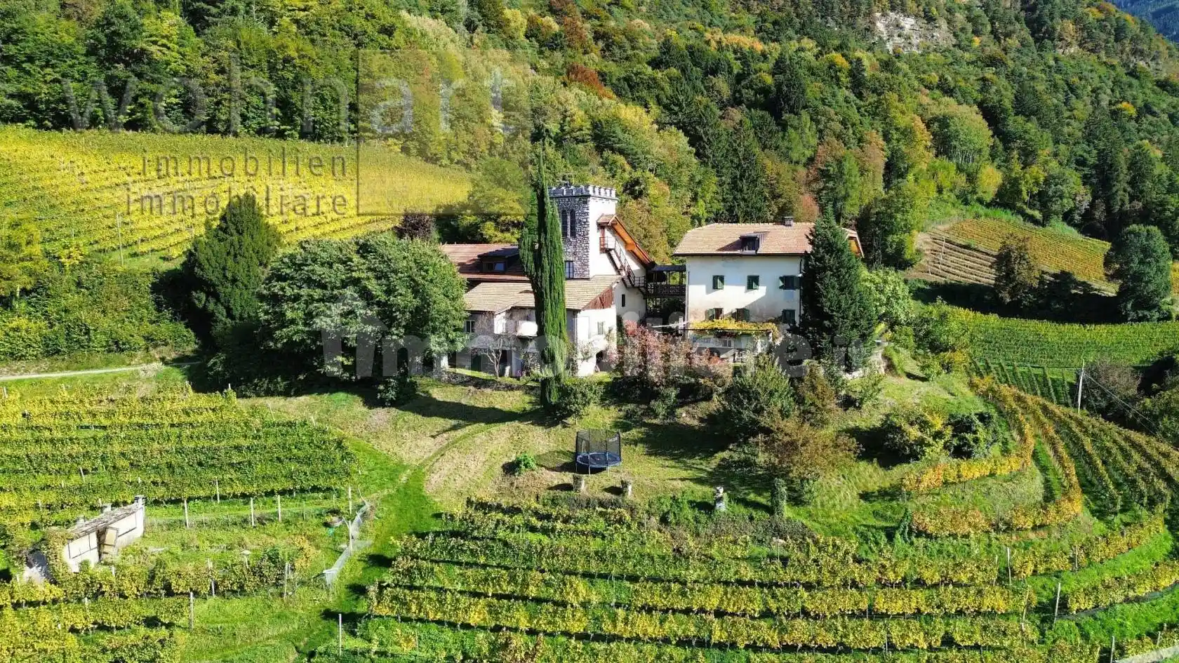 Rustico - Casale - foto 2