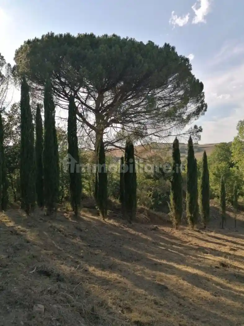 Rustico via delle Selve 10/9, Collazzone - foto 2