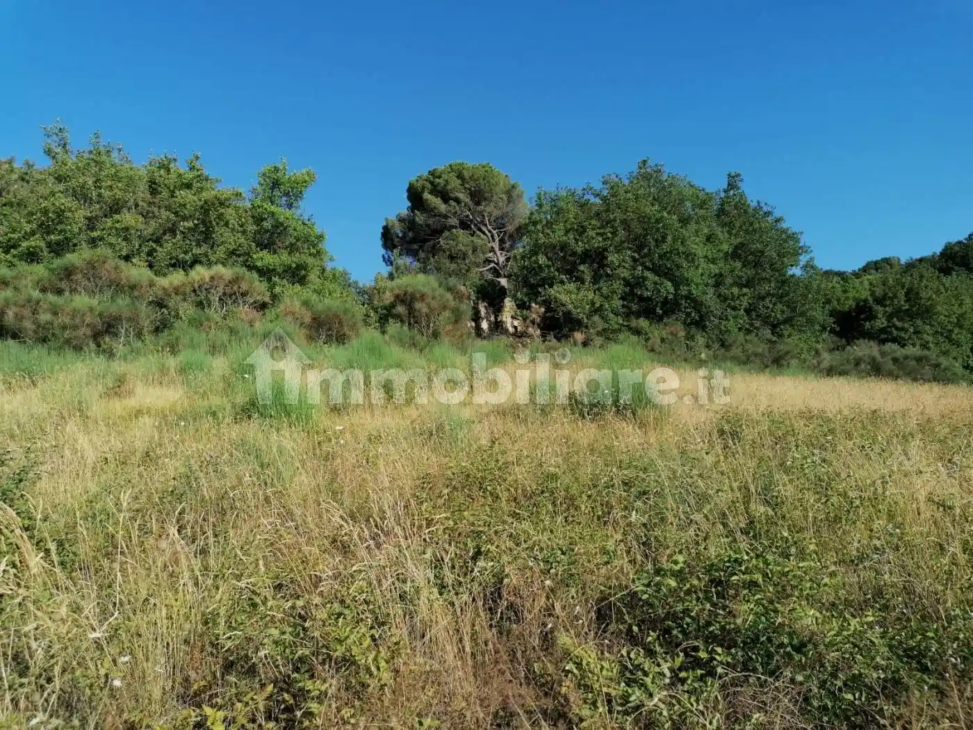 Rustico via delle Selve 10/9, Collazzone - foto 4