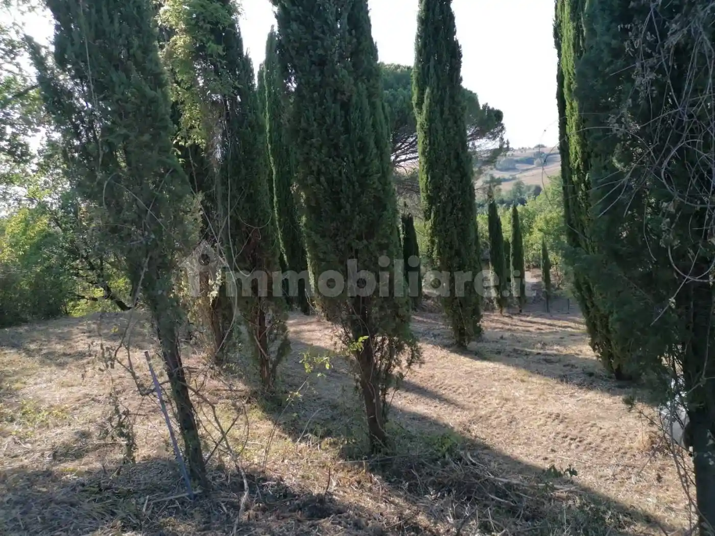 Rustico via delle Selve 10/9, Collazzone - foto 5