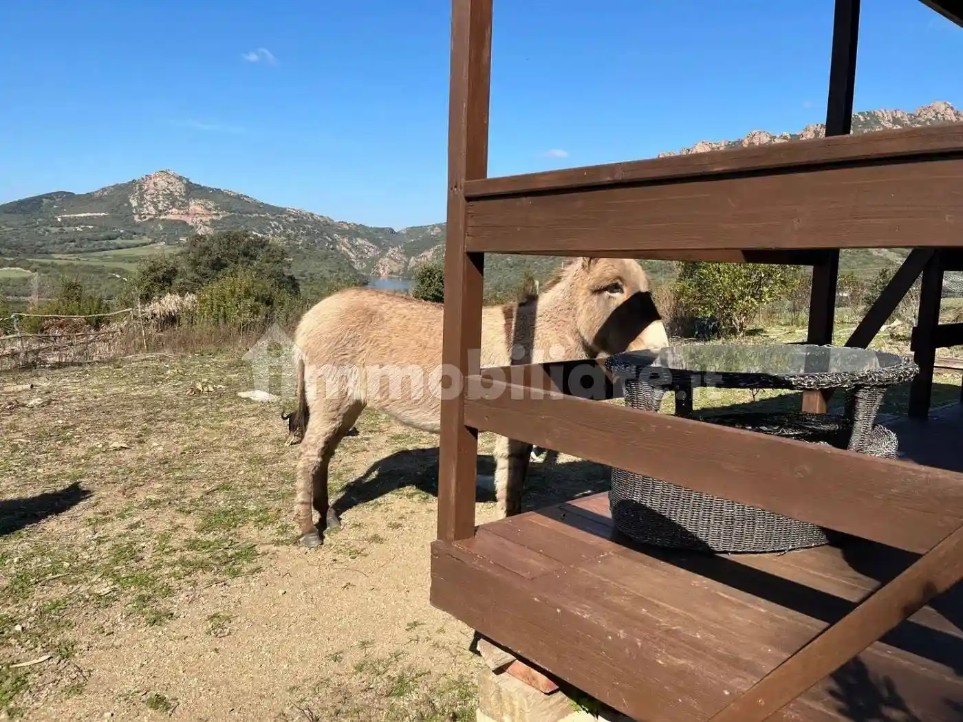 Villa unifamiliare Tisiennari No Number, Bortigiadas - foto 4