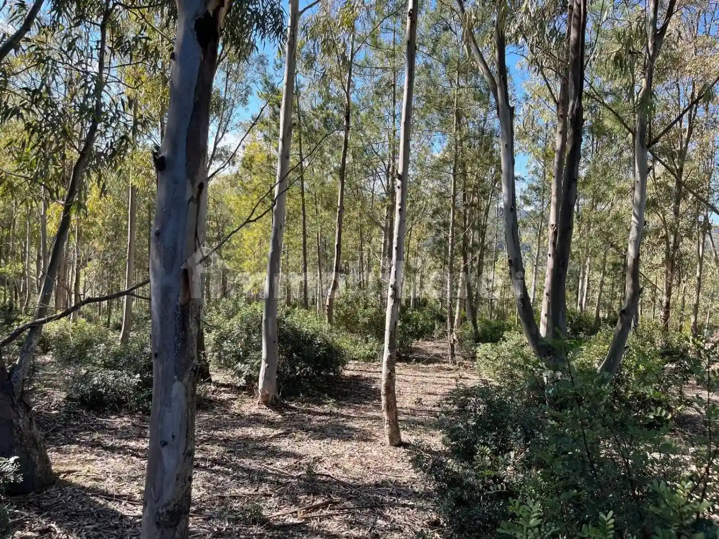 Villa unifamiliare Tisiennari No Number, Bortigiadas - foto 5