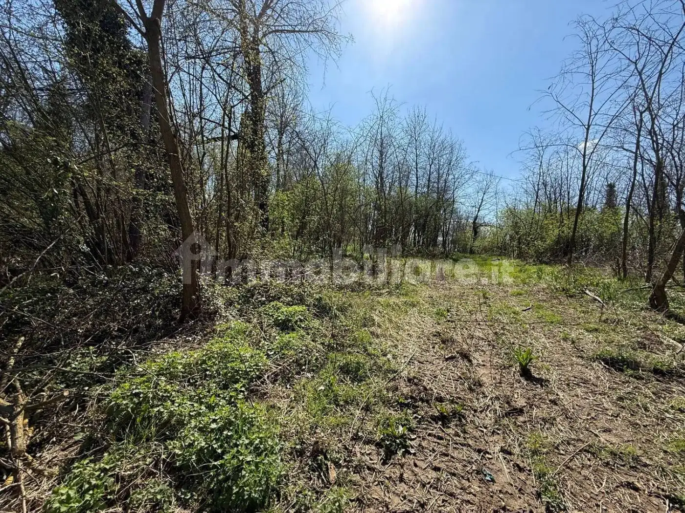 Villa unifamiliare, da ristrutturare, 600 m², Madonna Della Villa, Carpeneto - foto 4