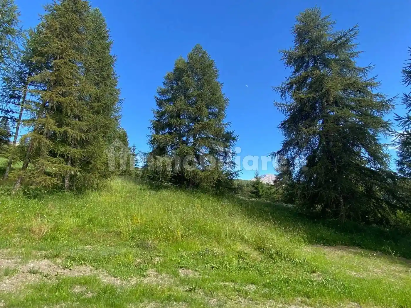 Appartamento in vendita a Cesana Torinese