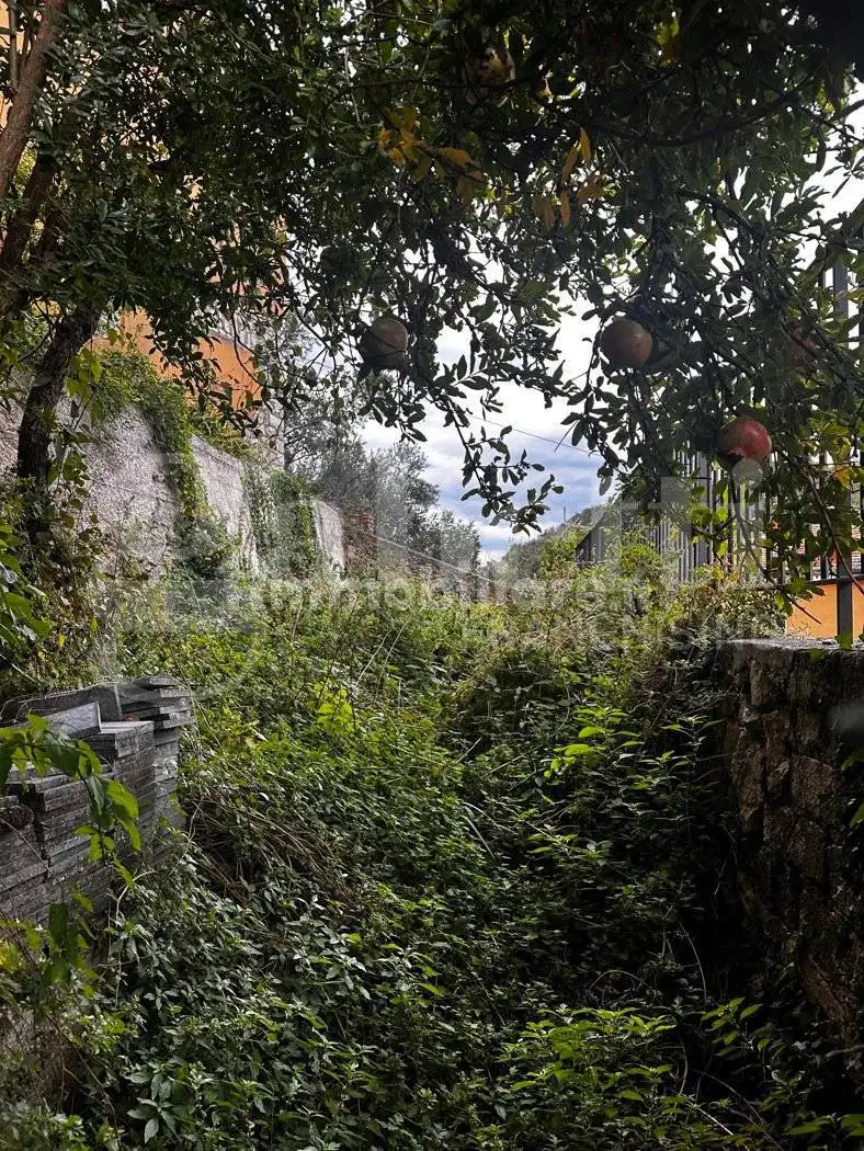 Appartamento via Castello, 21, Candida - foto 5