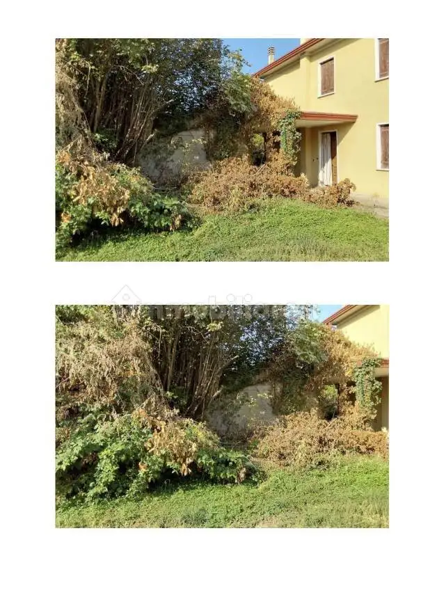 Casa indipendente in asta a Casale di Scodosia