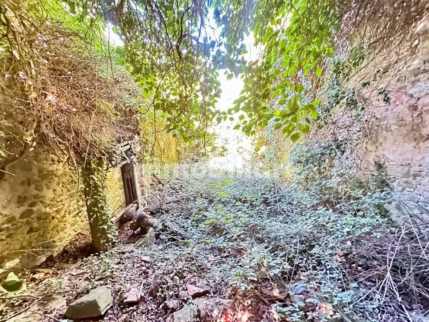 Casa indipendente in vendita a Greve in Chianti