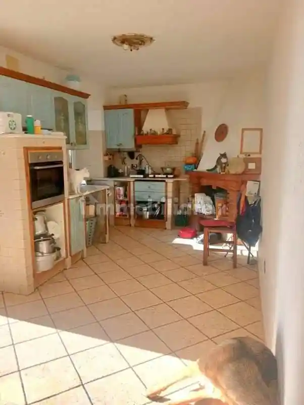 Quadrilocale via Borella 6, Zona Collinare Cerreto, Sant'Eustachio, Montignoso - foto 5