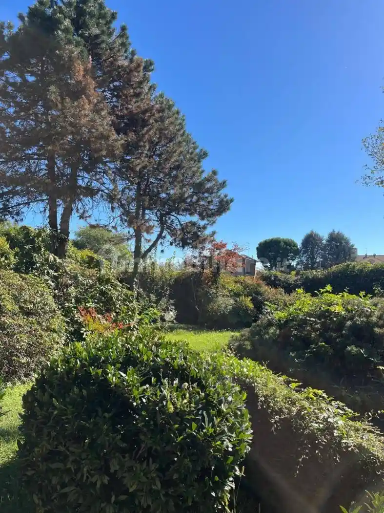 Appartamento in vendita a Busto Arsizio