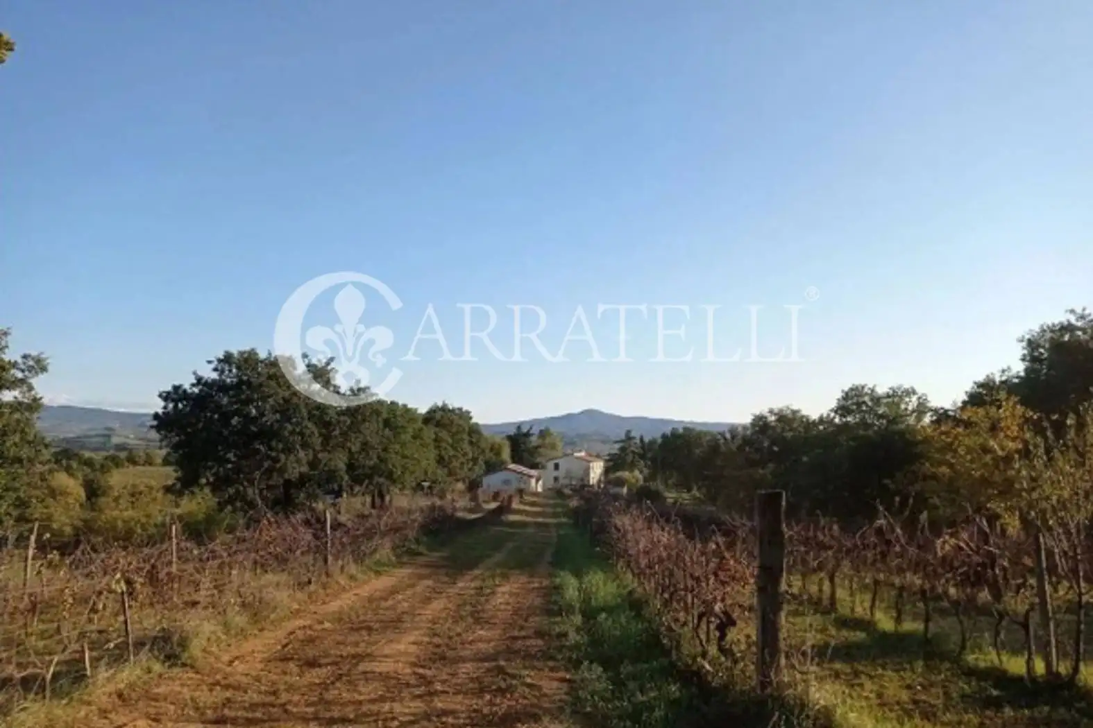 Rustico - Casale in vendita a Campagnatico