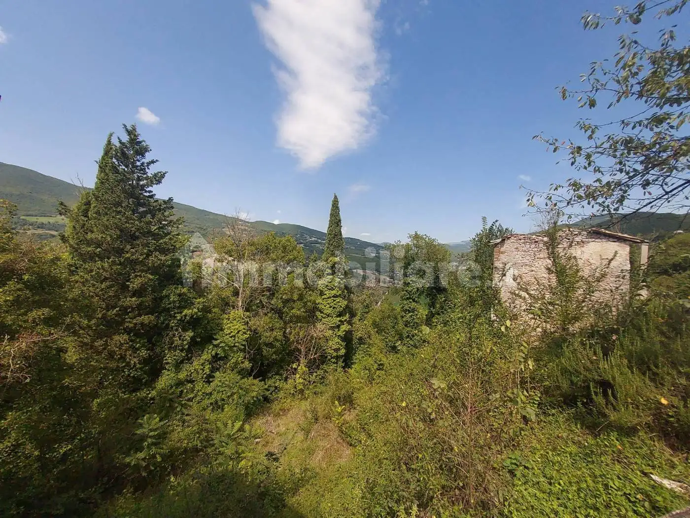 Rustico Località Casaletto, Cerreto di Spoleto - foto 5