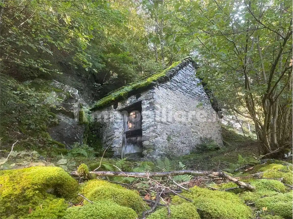 Baita alpe longio, Crodo - foto 4