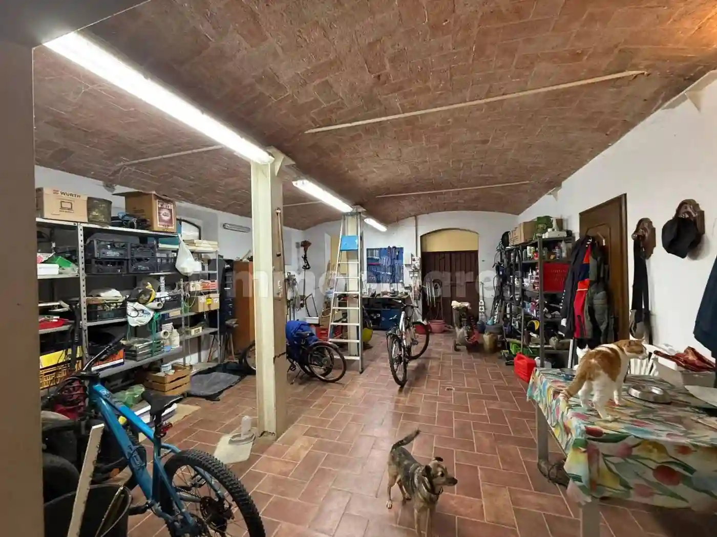 Rustico - Casale - foto 5