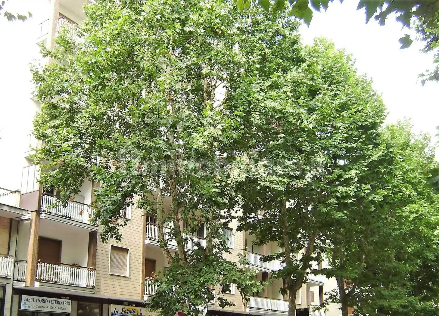 Appartamento in vendita a Beinasco