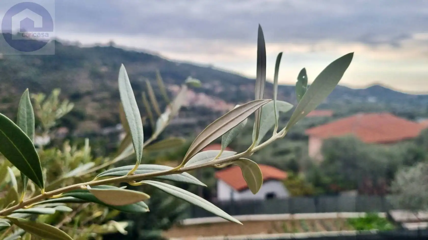 Appartamento in vendita a Dolcedo