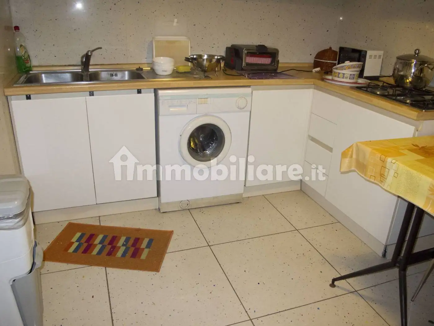 Appartamento in affitto a Pisa