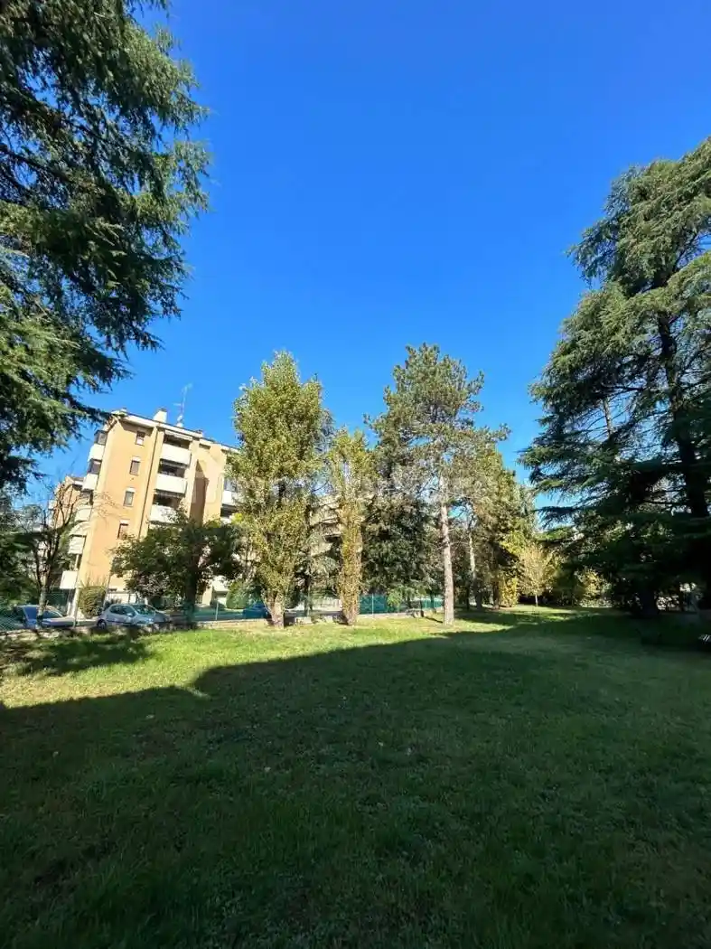 Quadrilocale ottimo stato, piano rialzato, Marconi, Imola - foto 3