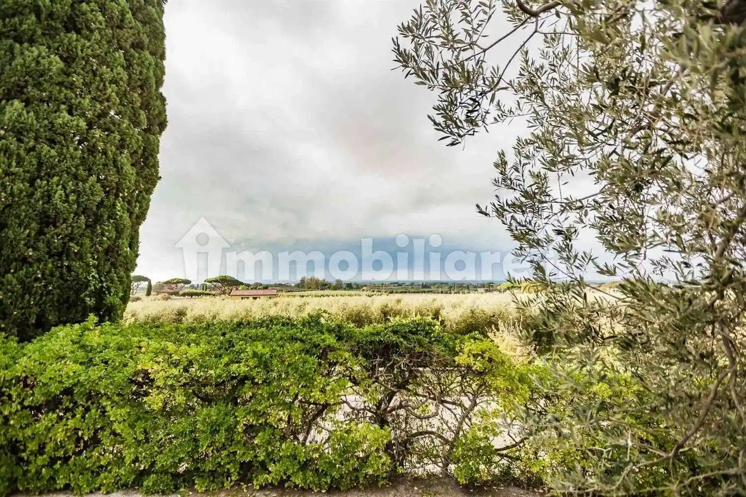 Rustico - Casale in vendita a Castagneto Carducci