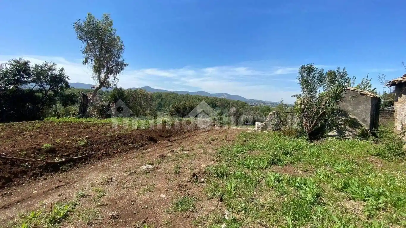 Rustico - Casale in vendita a Zagarolo