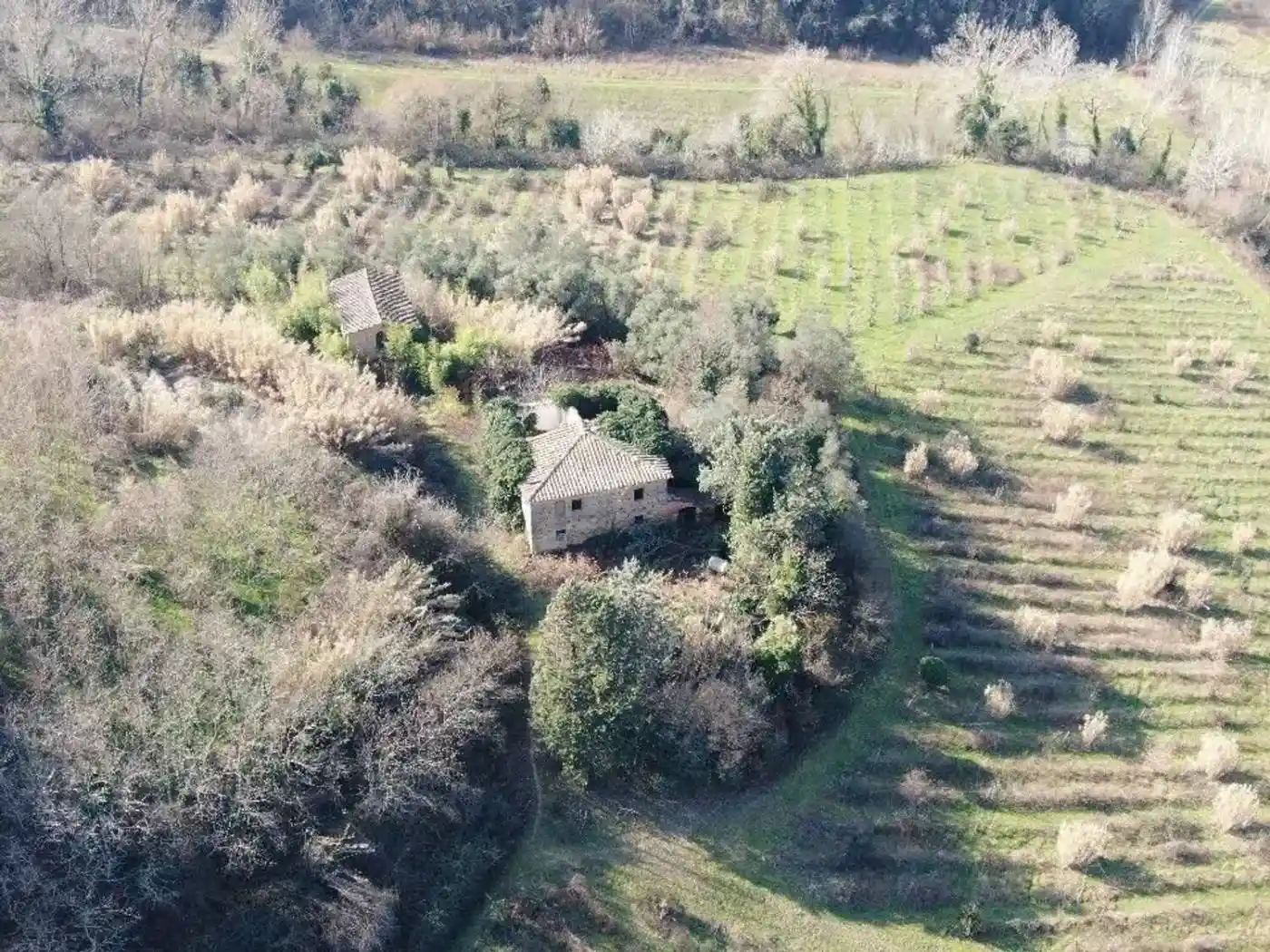 Rustico - Casale in vendita a Palaia