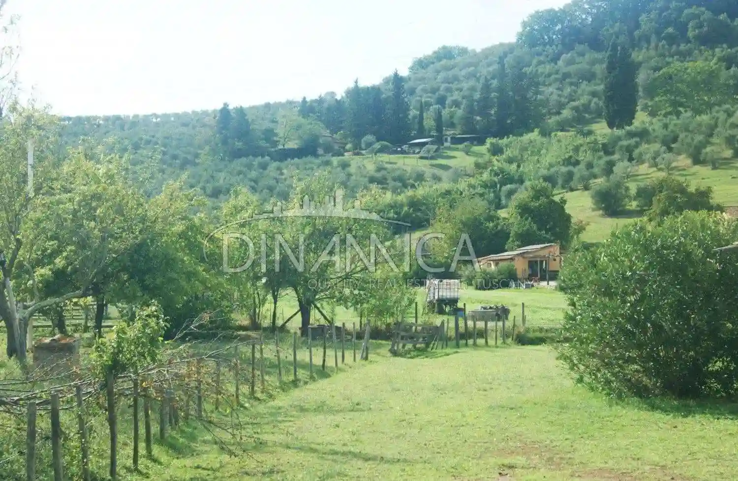 Rustico - Casale - foto 5